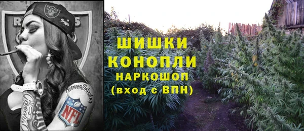 ГАЛЛЮЦИНОГЕННЫЕ ГРИБЫ Навашино