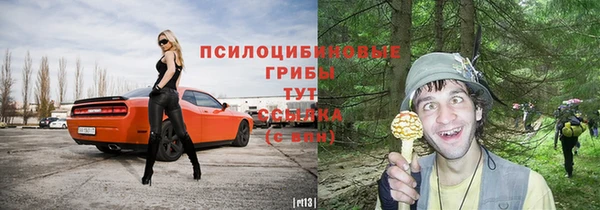 герыч Надым
