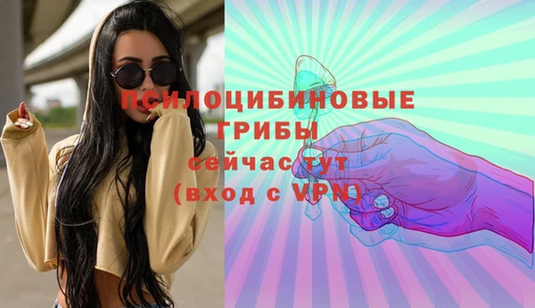 гашик Наволоки